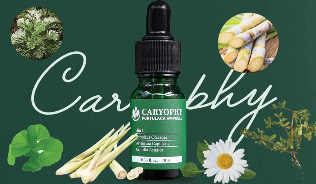 Thành phần serum Caryophy Portulacca Ampoule