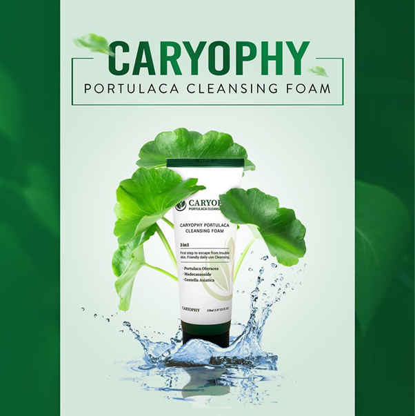 caryophy portulaca cleansing foam