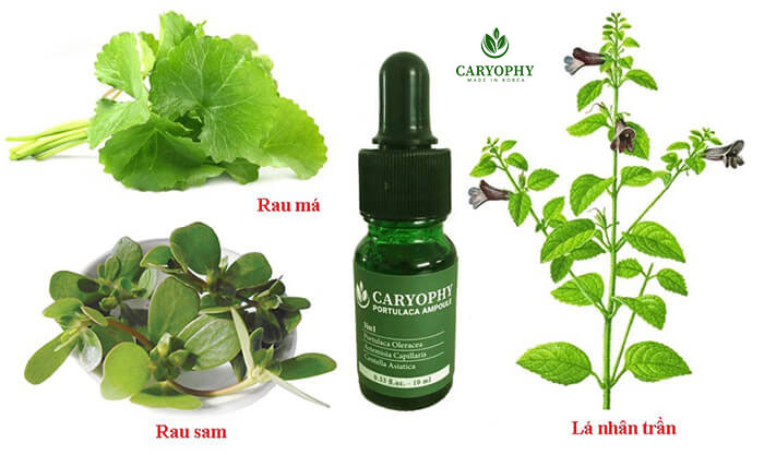 Serum trị mụn Caryophy chứa rau sam