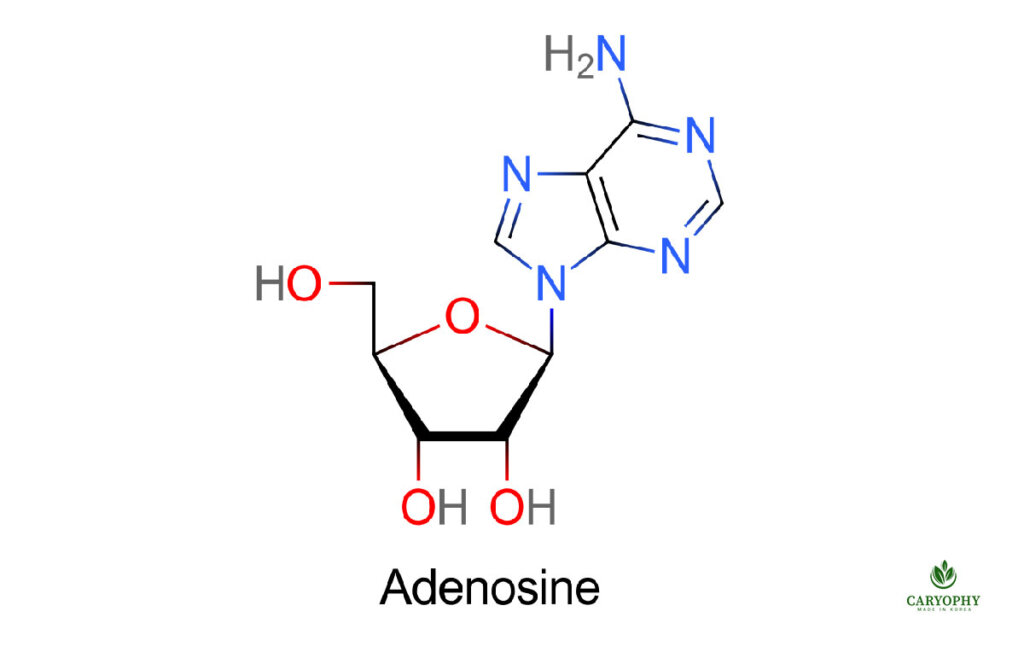 Công thức của  Adenosine