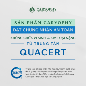 Trung tâm Chứng nhận Phù hợp QUACERT là tổ chức đánh giá sự phù hợp uy tín hàng đầu tại Việt Nam, trực thuộc Ủy ban Tiêu chuẩn Đo lường Chất lượng Quốc gia - Bộ Khoa học và Công nghệ.